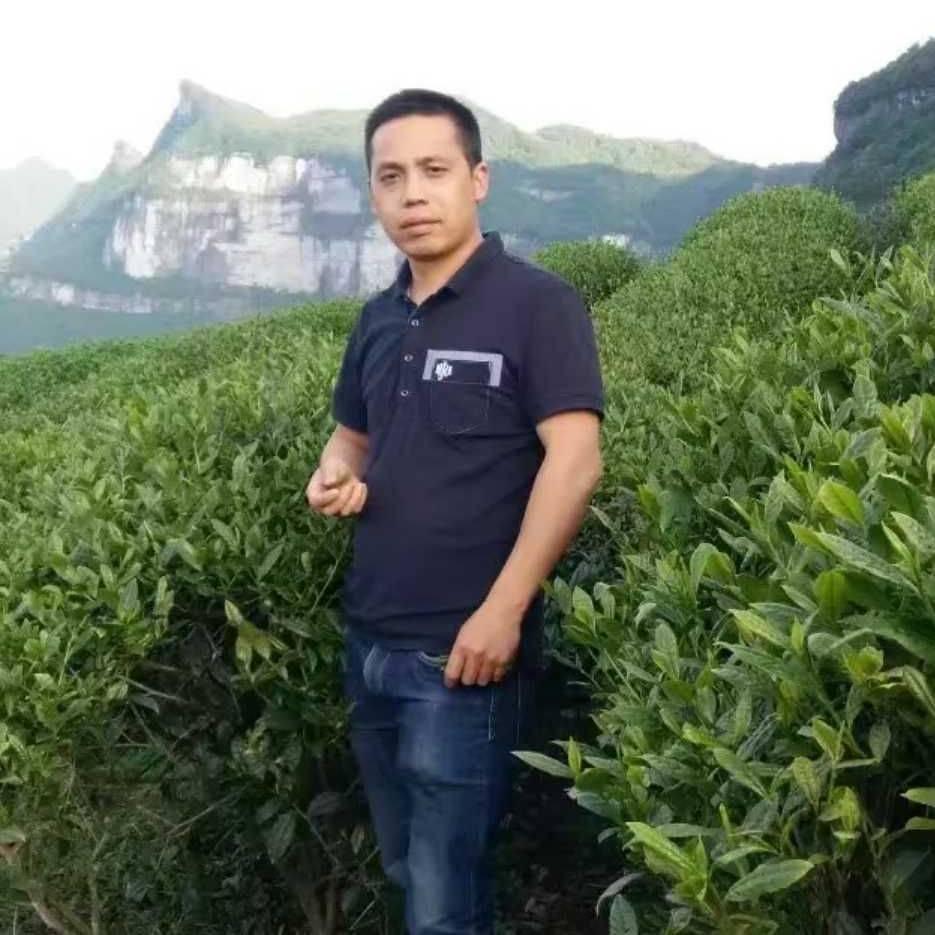 茶*静心阁