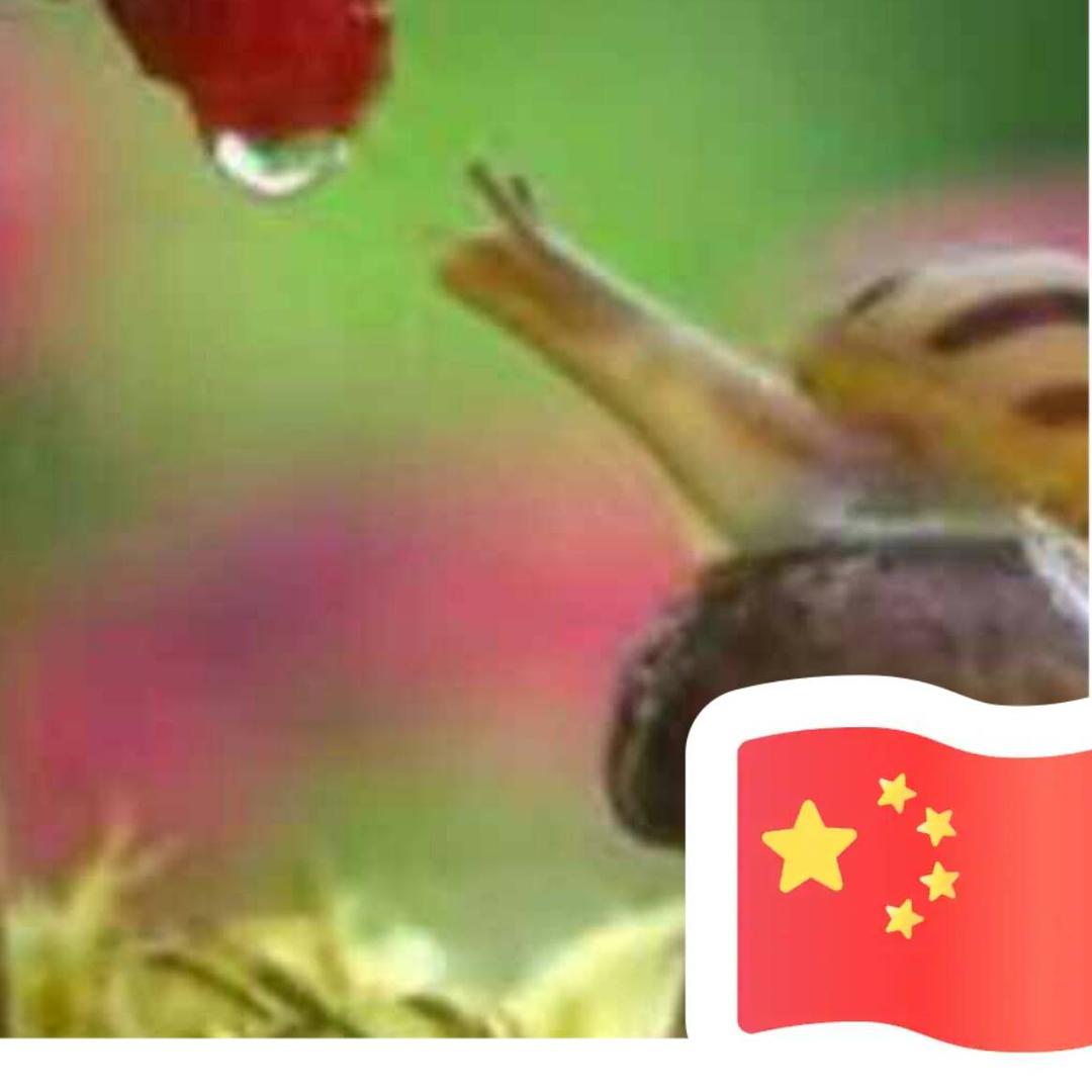 一梦繁华