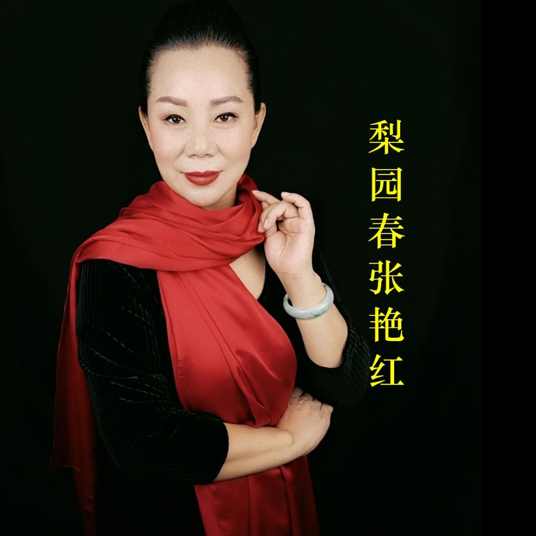 梨园春张艳红