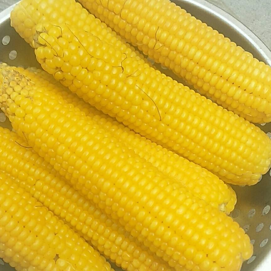 你是晴天我是霹雳_