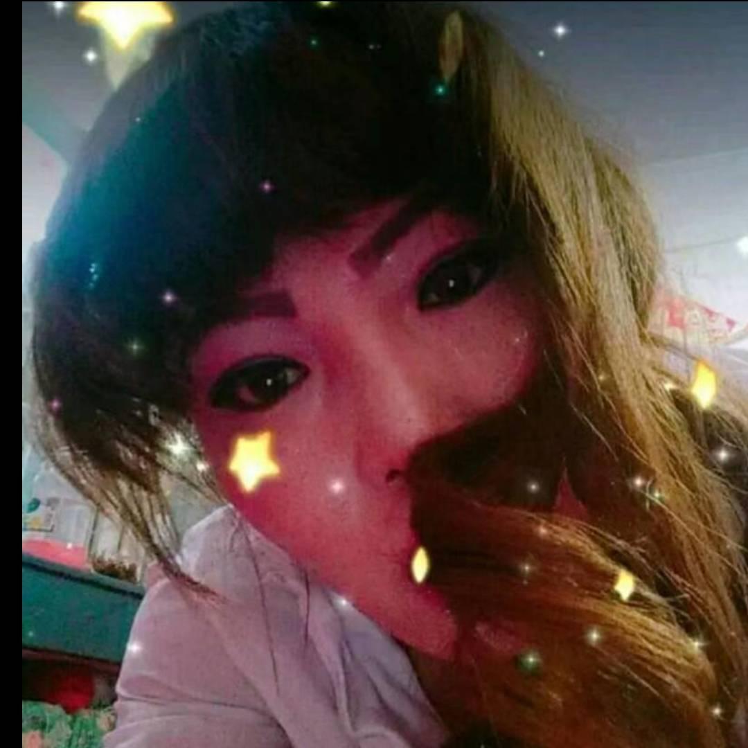 飞的燕子