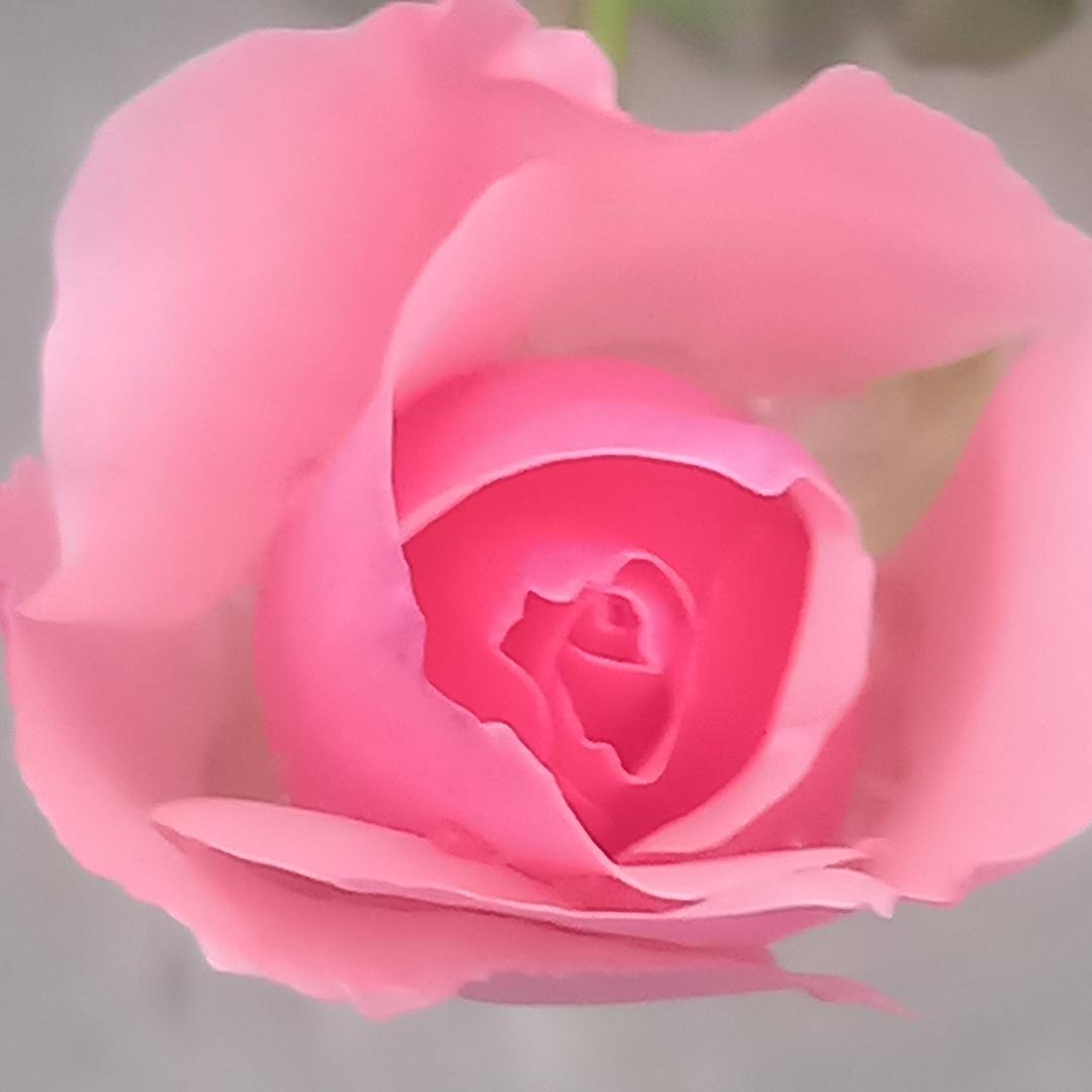 梦想成真拒私聊拒连赞