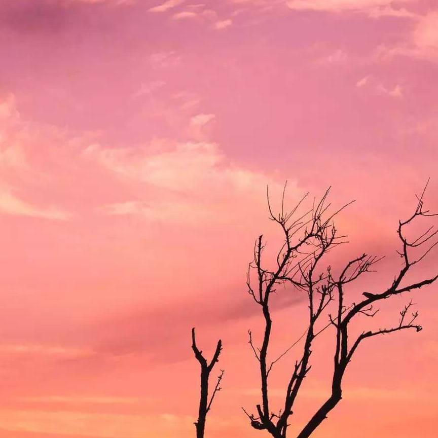 ❤️年青老头儿