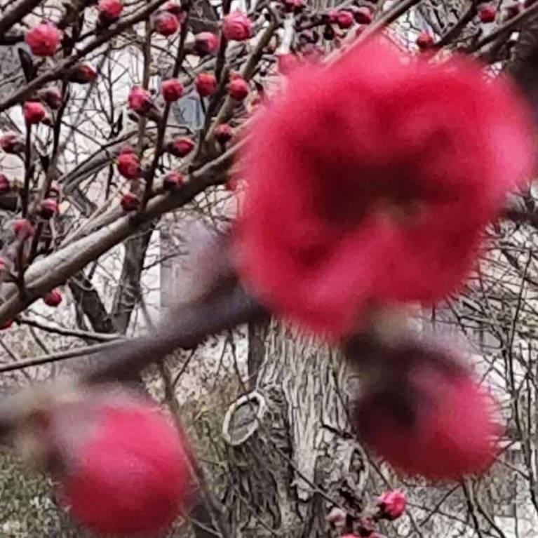 雨中漫步