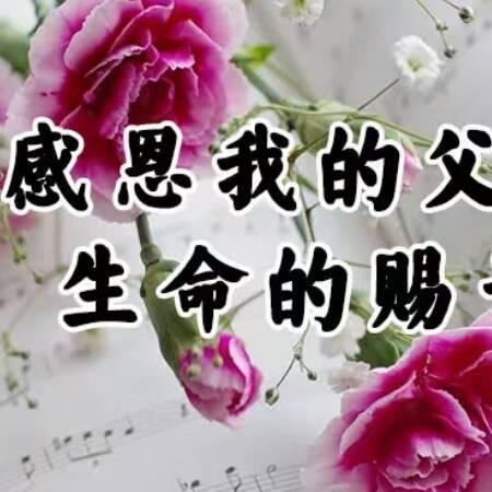 真爱永恒3tp0