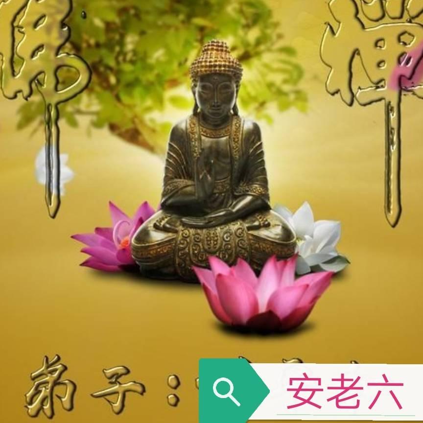 🙏安老六，开❤就好