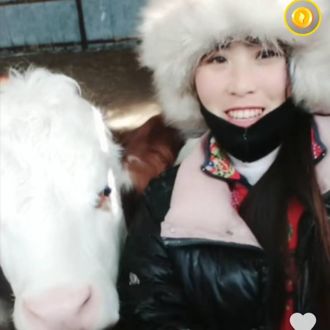✨媛媛记录养牛生活✨