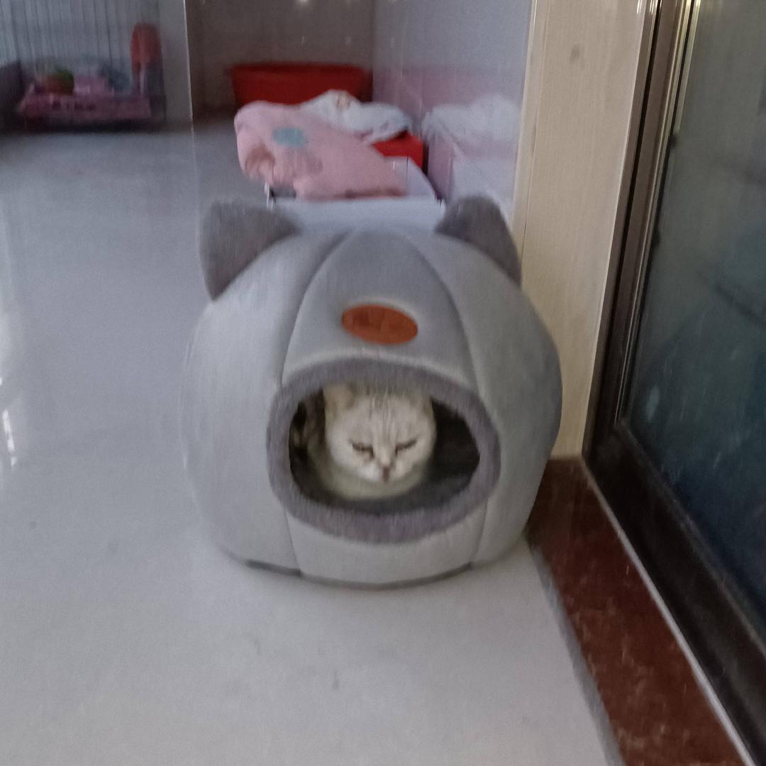 墨泉