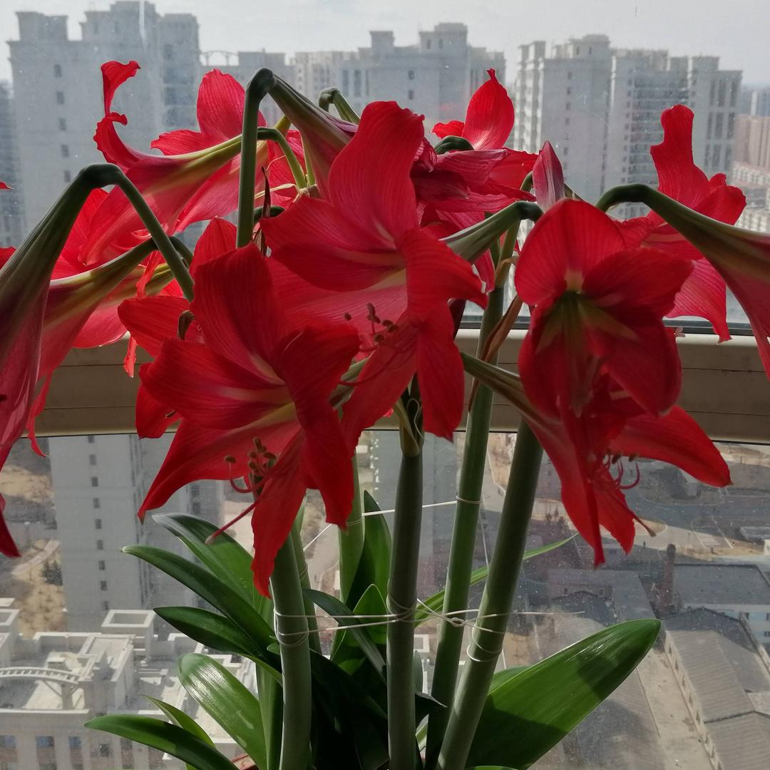 跑不动的刘老头