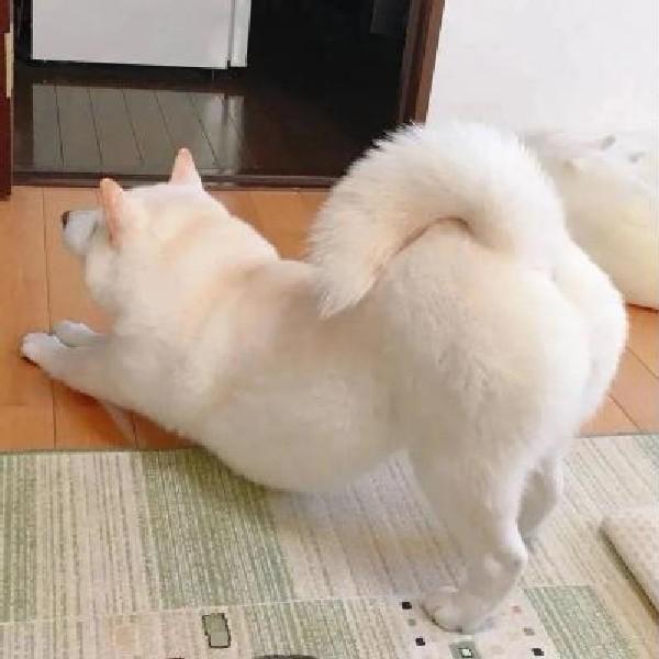 独醉街头