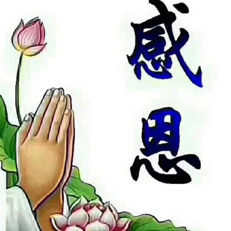 冰心6868