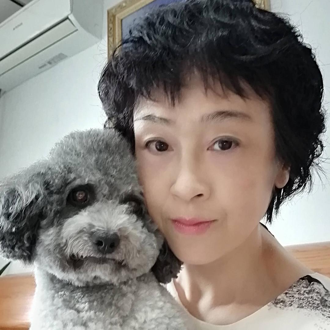 春华和孙家毛孩宠物用品