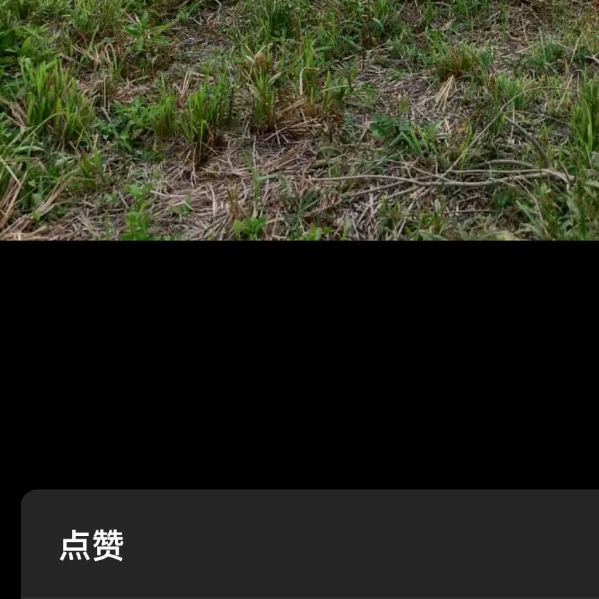 专业钢结构彩板房安装