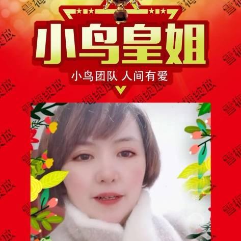 （小鸟圈）雪梅绽放