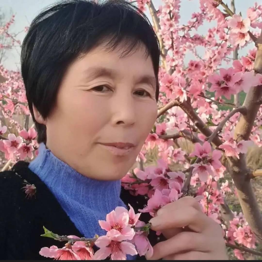 家合万事兴
