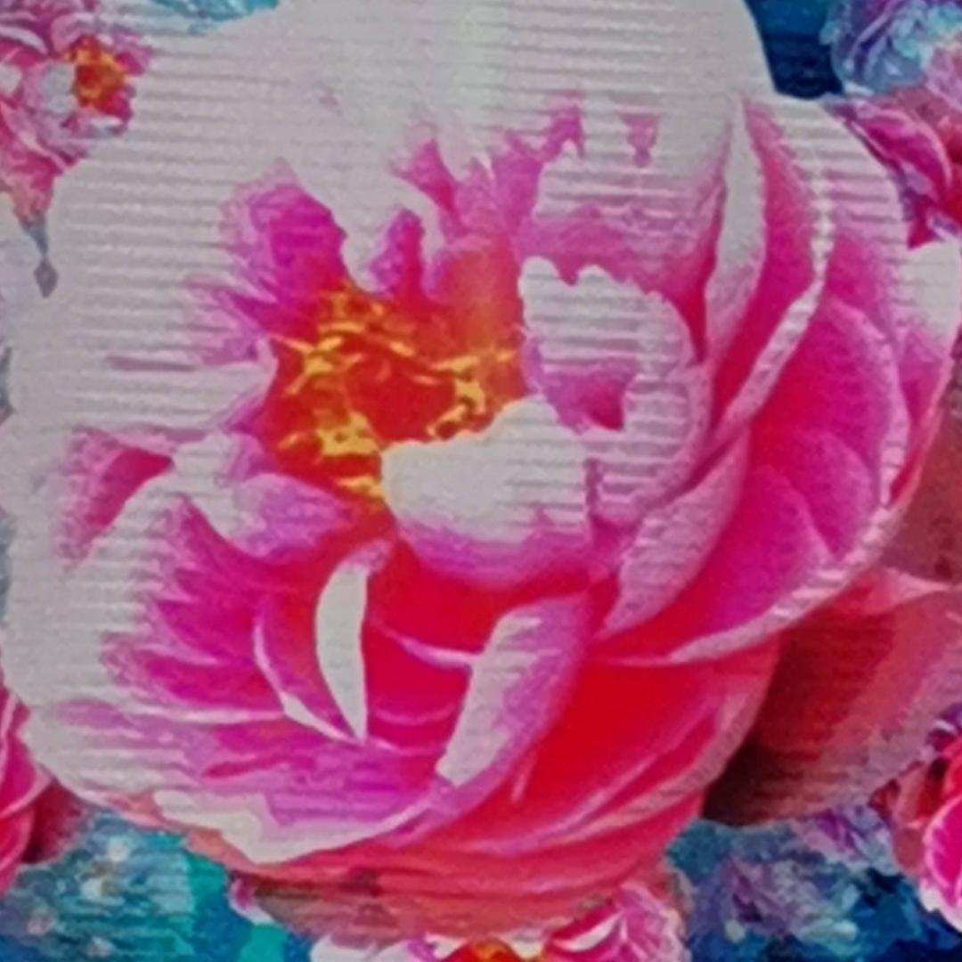郭旺艺校～孙海英