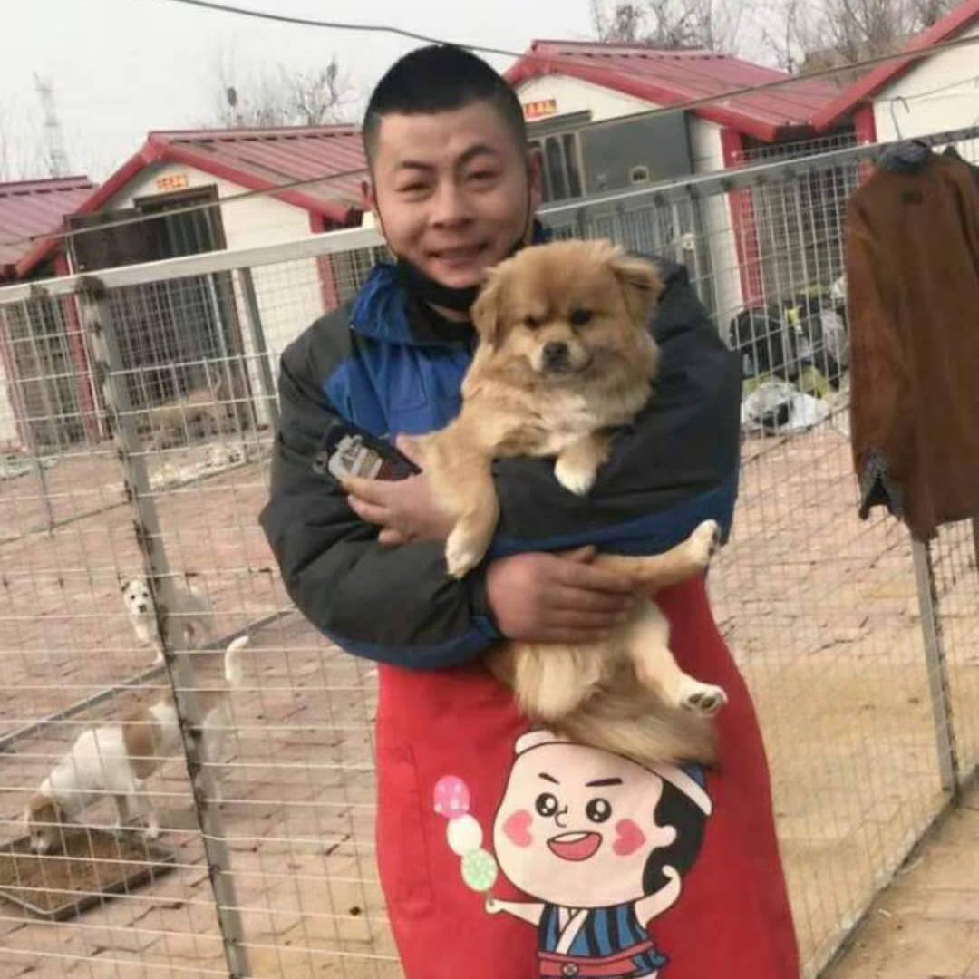 人狗情缘√扬帆流浪狗