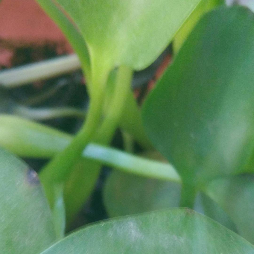 风雨夜归人 👍