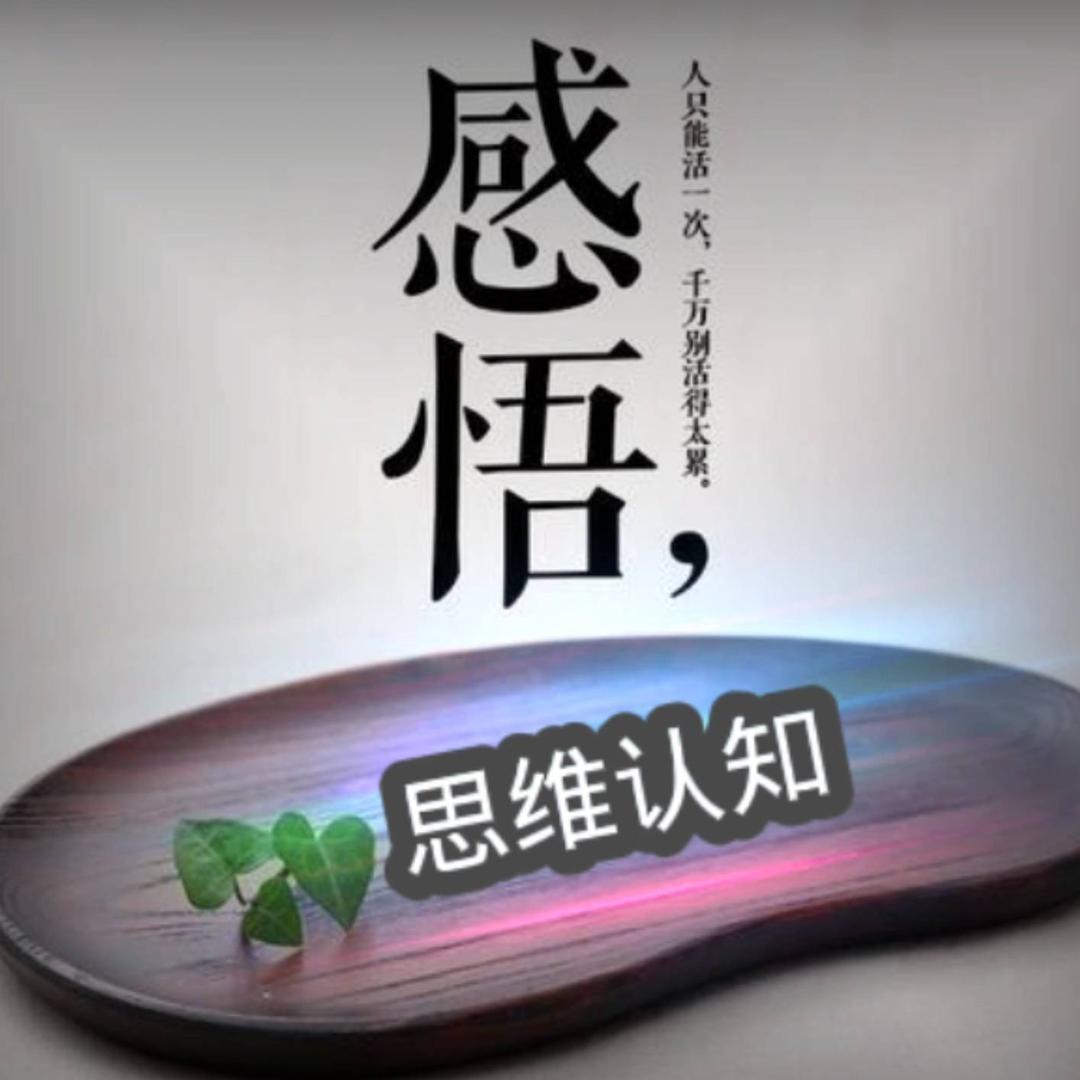 感悟认知