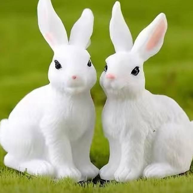 火山公民🐰勇往直前哥🐇