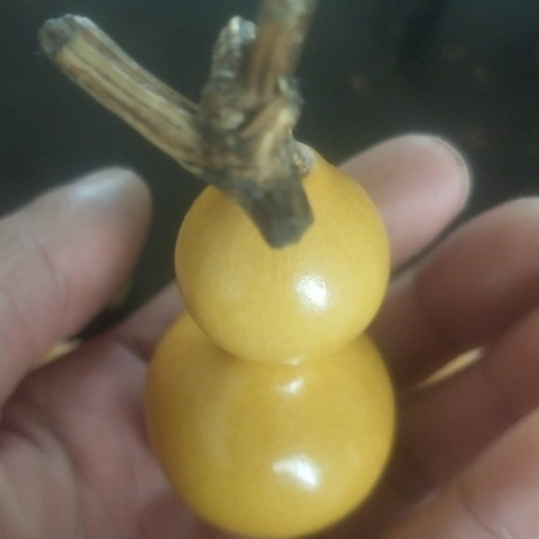 享受孤独