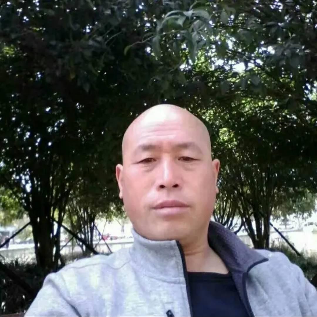 虻虫农场四哥