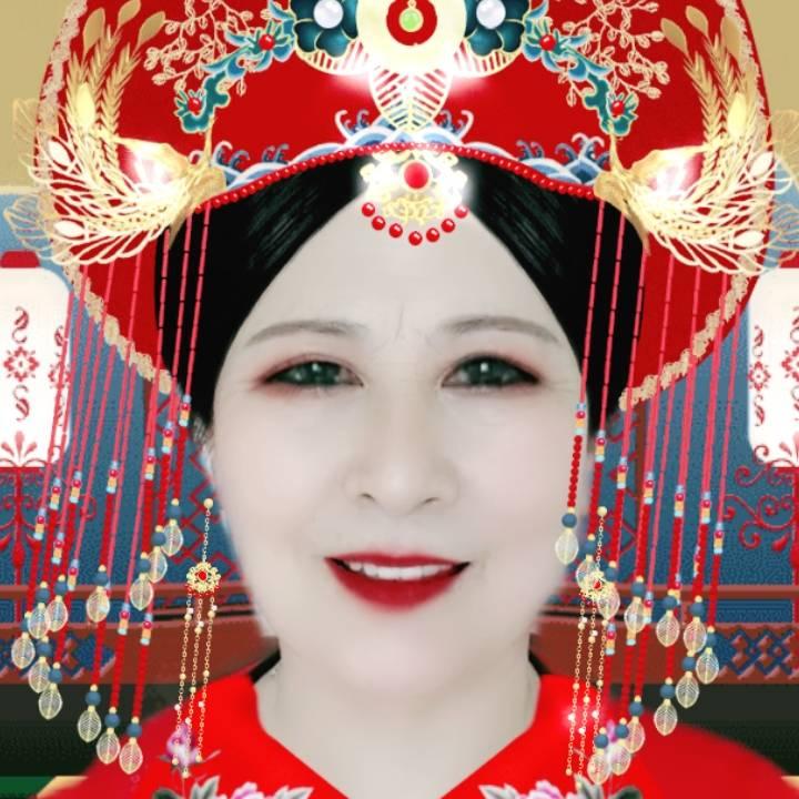 高琴68