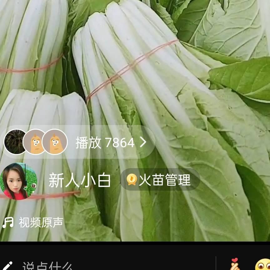 新人小白