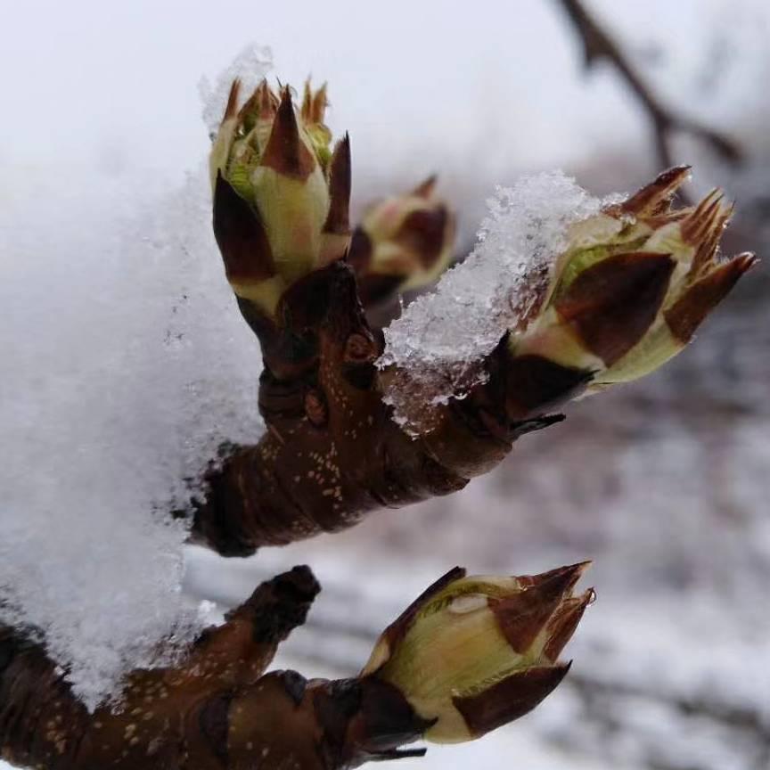 🌈不良帥💤🍭🍀⁹³