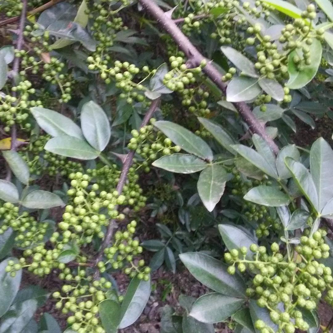 一切随缘而随机应变