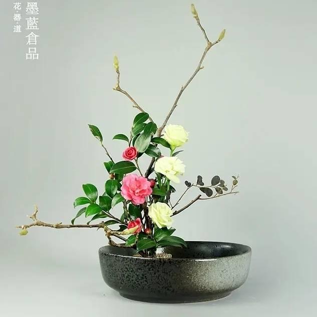 🌈卡棱子💞💝