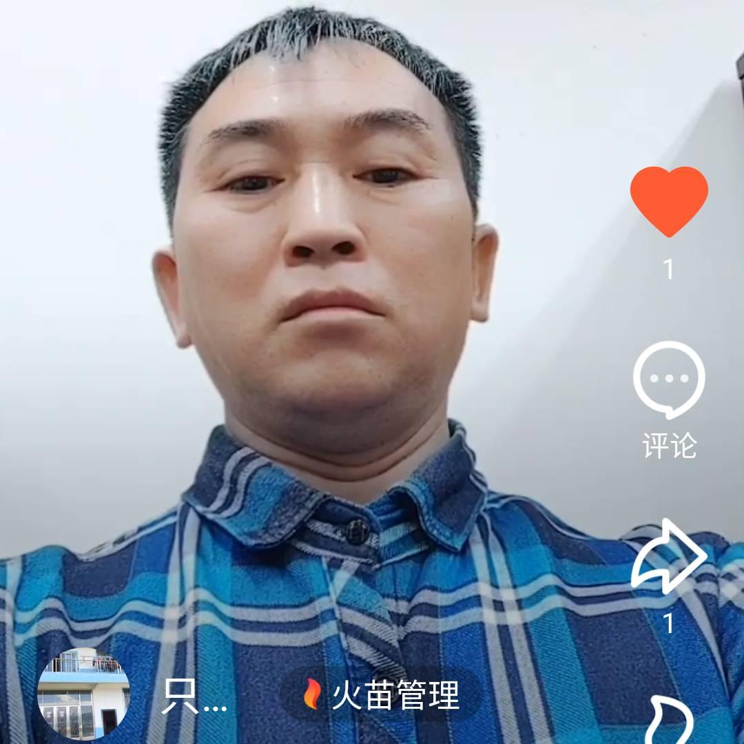落叶不随风。