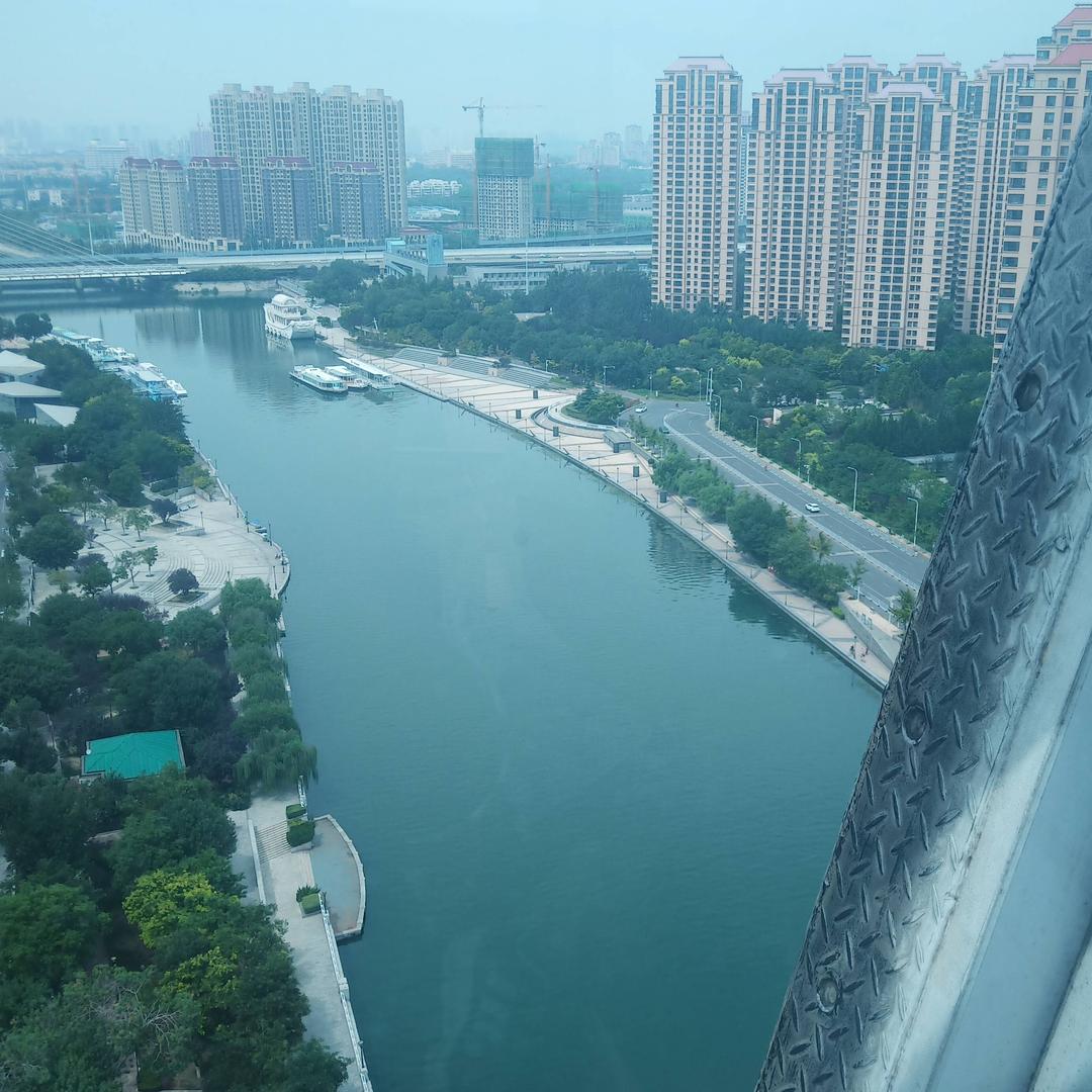 物以稀为贵♛芝麻