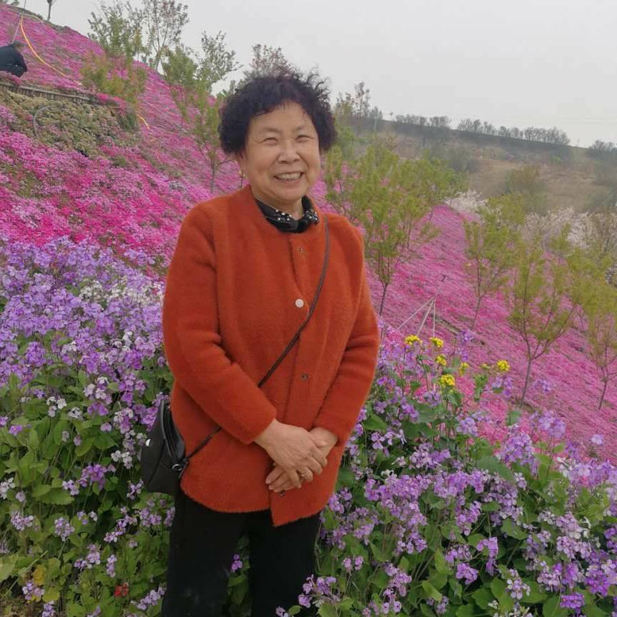 夕阳红🌺