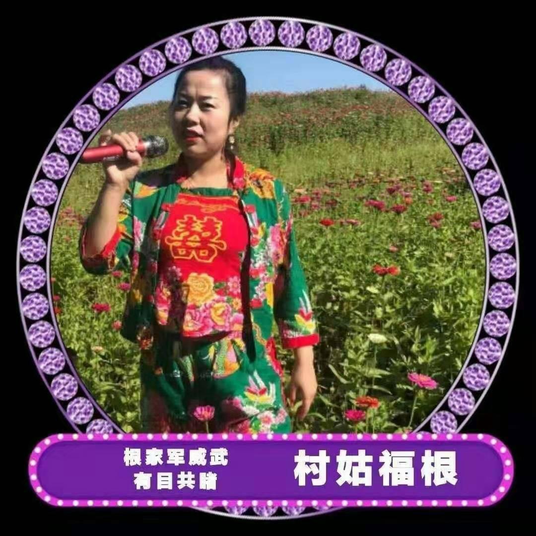 福根+福多多