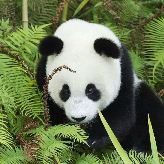 爱的守护
