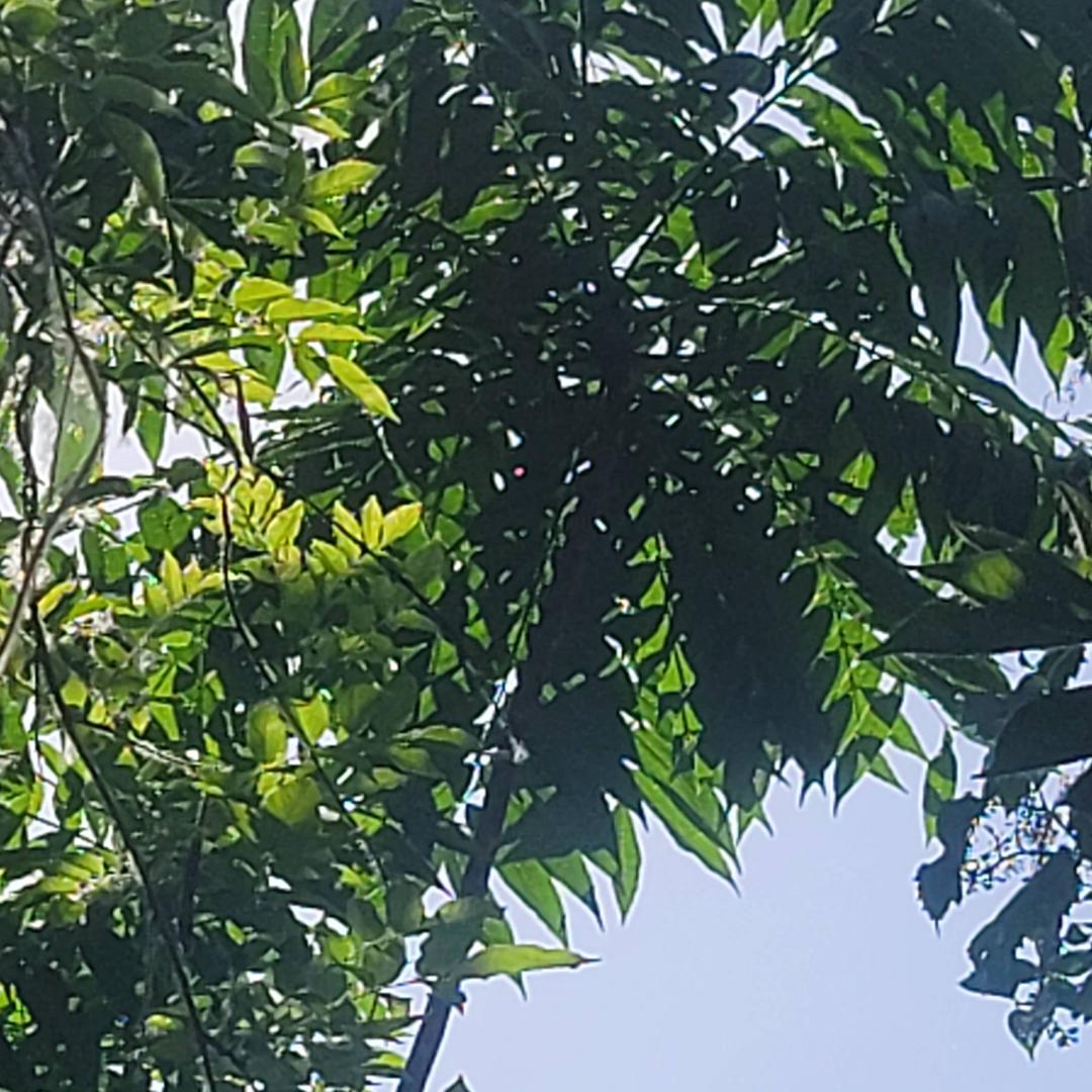 顺其自然