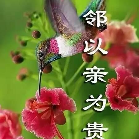 谢谢火山好友+在火山