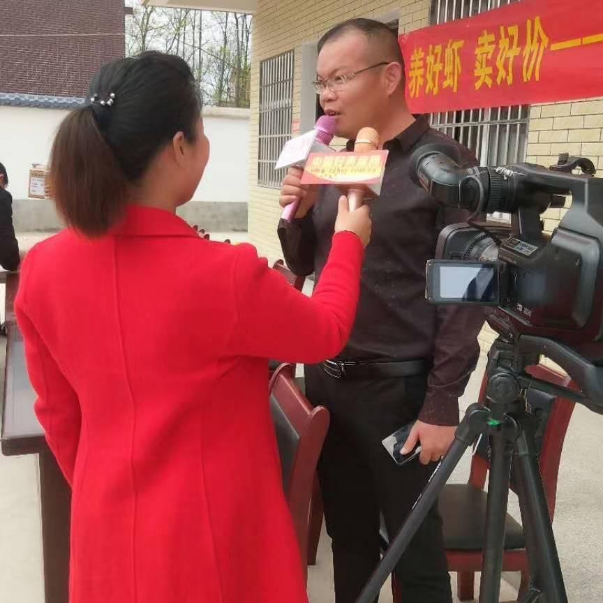 黄向前水产——湖北虾苗