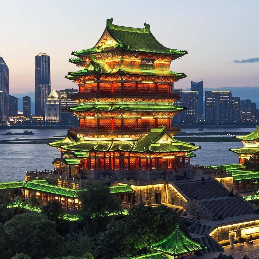 爱情鸟