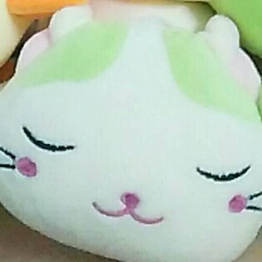 小趣猫百科
