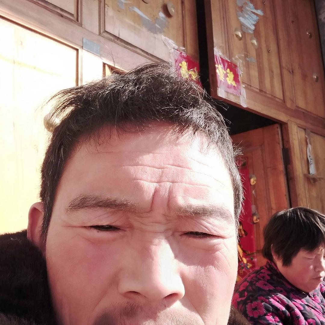 司红强6783268