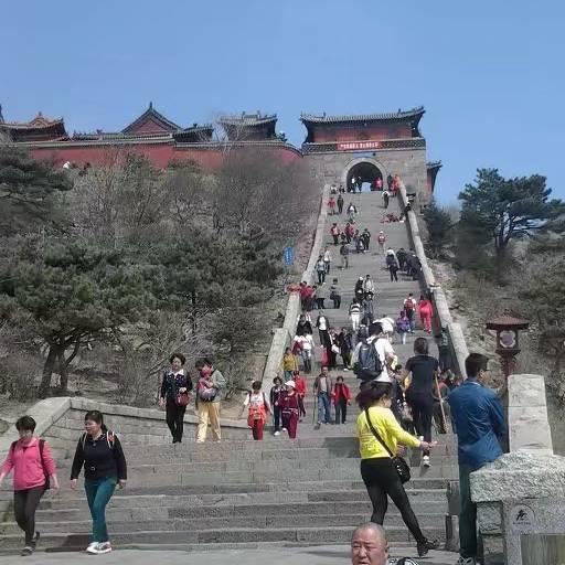 鸿雁