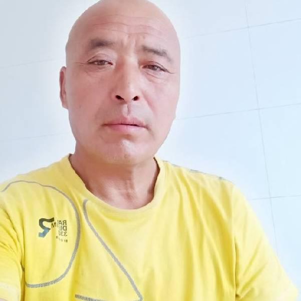 李洪伟529