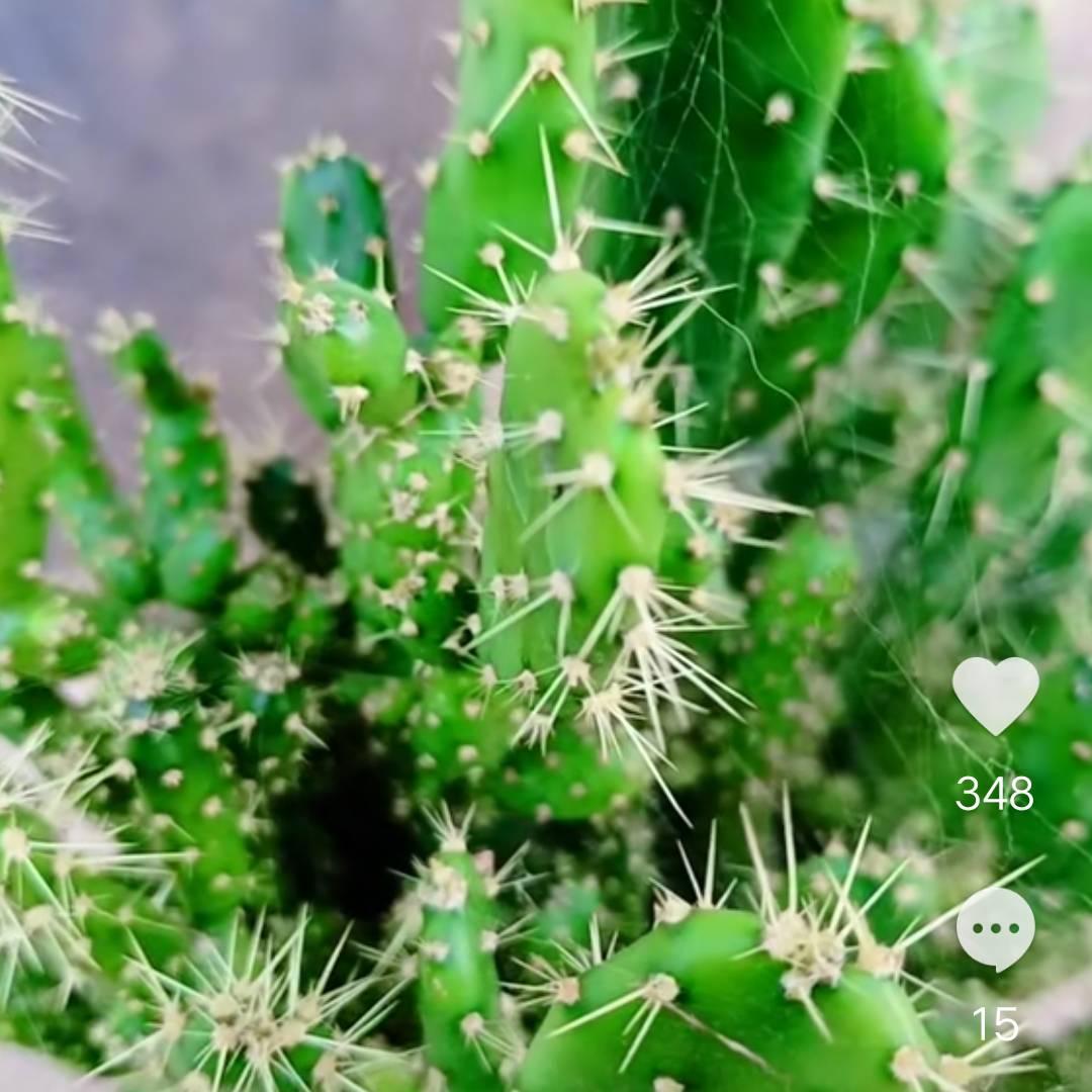 善待自己🌹🌹