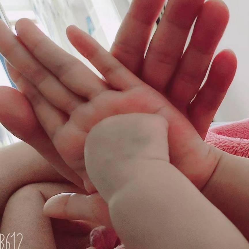 我家小七