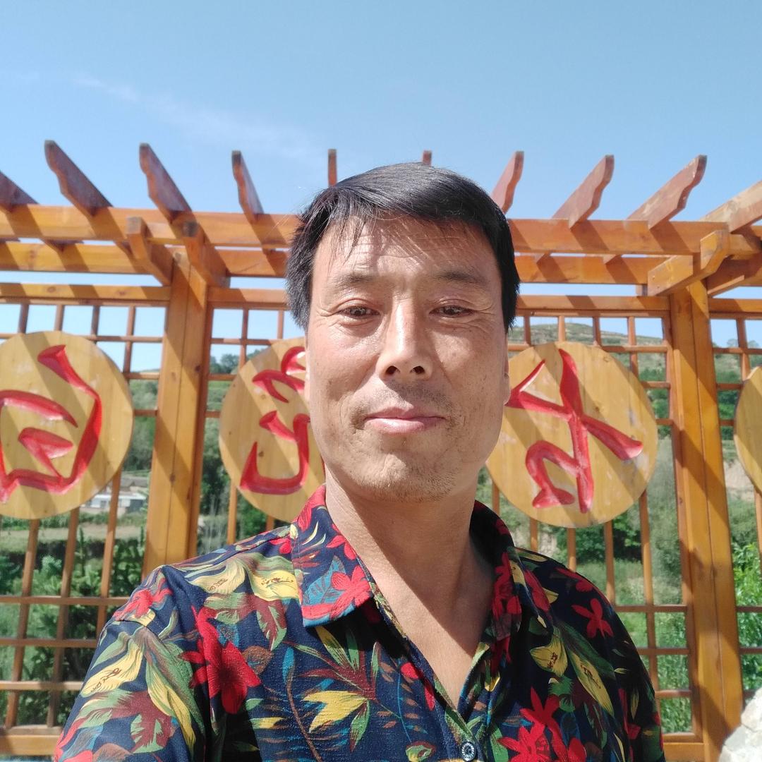 枕边只有泪两行