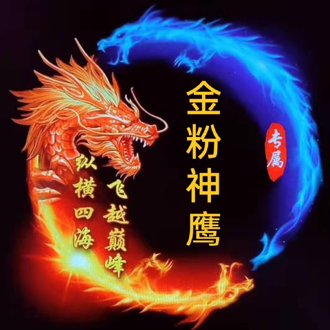 金粉🔥☔神鹰