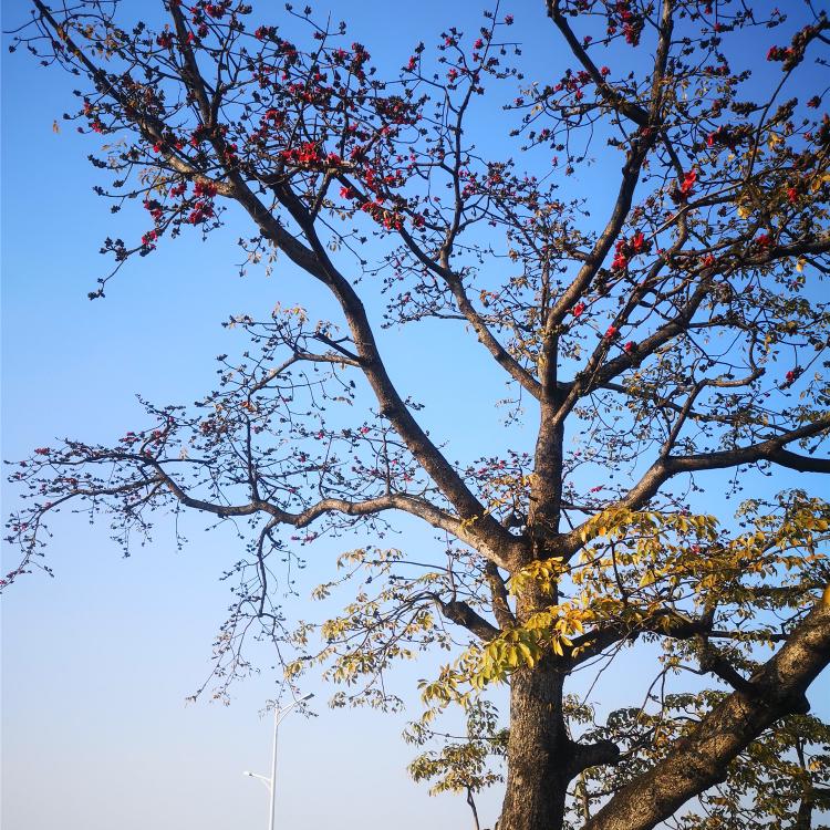 小琪家生鲜全国仓极速达