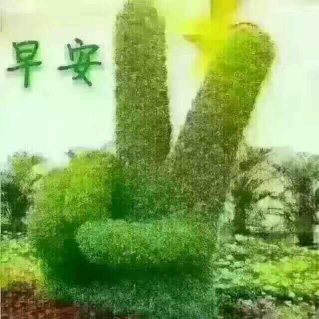 姐叫郝美